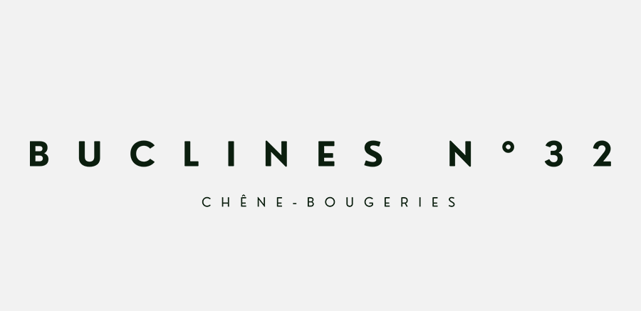 logo-promo-buclines-32